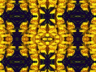 Arts numériques intitulée "Kaleidoscopic Garde…" par Kenneth Grzesik, Œuvre d'art originale, Travail numérique 2D