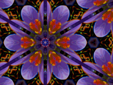 Digitale Kunst mit dem Titel "Kaleidoscopic Garde…" von Kenneth Grzesik, Original-Kunstwerk, 2D digitale Arbeit