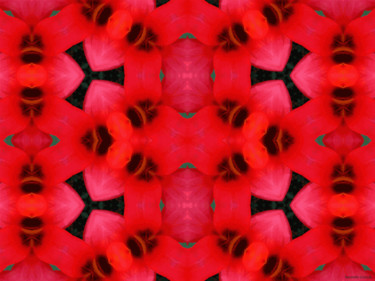 Kaleidoscopic Garden 55 Digital Arts titled "Kaleidoscopic Garde…" by Kenneth Grzesik, Original Art, Digital Painting