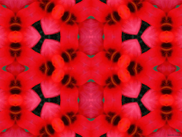 Digital Arts titled "Kaleidoscopic Garde…" by Kenneth Grzesik, Original Artwork, Digital Painting