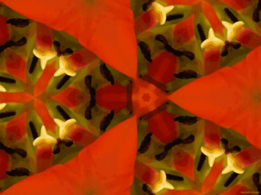 Artes digitais intitulada "Kaleidoscopic Garde…" por Kenneth Grzesik, Obras de arte originais, Pintura digital