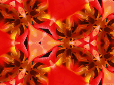 Digital Arts titled "Kaleidoscope Geomet…" by Kenneth Grzesik, Original Artwork, Digital Painting