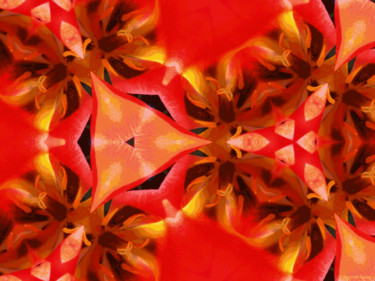 Digitale Kunst mit dem Titel "Kaleidoscope Geomet…" von Kenneth Grzesik, Original-Kunstwerk, Digitale Malerei