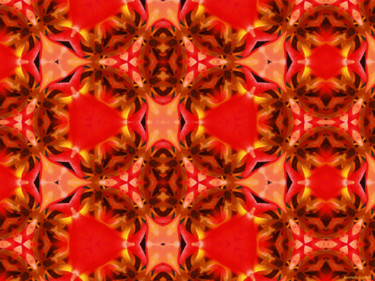Kaleidoscope Geometry Pattern From Nature 4 Digital Arts titled "Kaleidoscope Geomet…" by Kenneth Grzesik, Original Art, Digital Painting