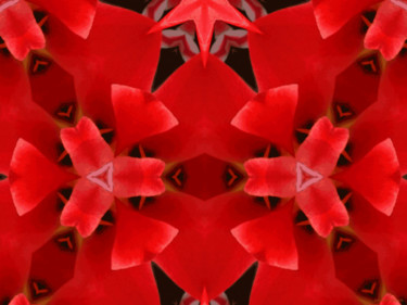 Kaleidoscope Geometry Pattern From Nature 5 Digital Arts titled "Kaleidoscope Geomet…" by Kenneth Grzesik, Original Art, Digital Painting