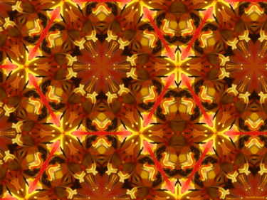 Kaleidoscope Geometry Pattern From Nature 16 Digital Arts titled "Kaleidoscope Geomet…" by Kenneth Grzesik, Original Art, Digital Painting