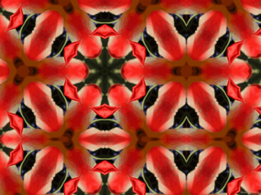 Kaleidoscope Geometry Pattern From Nature 18 Digital Arts titled "Kaleidoscope Geomet…" by Kenneth Grzesik, Original Art, Digital Painting