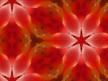 Digitale Kunst mit dem Titel "Kaleidoscope Geomet…" von Kenneth Grzesik, Original-Kunstwerk, Digitale Malerei