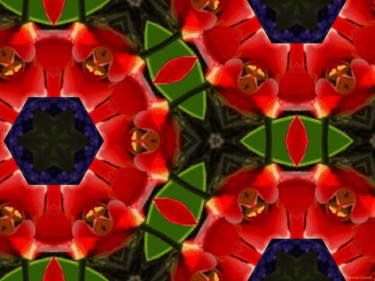 Arts numériques intitulée "Kaleidoscope Geomet…" par Kenneth Grzesik, Œuvre d'art originale, Autre
