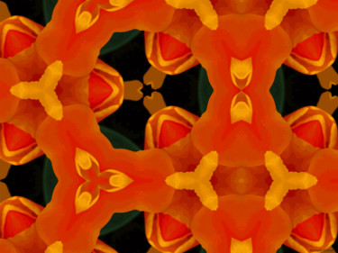 Arts numériques intitulée "Kaleidoscope Geomet…" par Kenneth Grzesik, Œuvre d'art originale, Travail numérique 2D