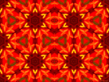 Digitale Kunst mit dem Titel "Kaleidoscope Geomet…" von Kenneth Grzesik, Original-Kunstwerk, Digitale Malerei