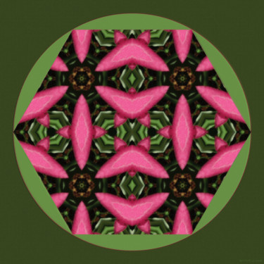 Digitale Kunst mit dem Titel "Geometric Garden 8" von Kenneth Grzesik, Original-Kunstwerk, Digitale Malerei
