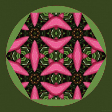 Digital Arts titled "Geometric Garden 8" by Kenneth Grzesik, Original Artwork, Digital Painting