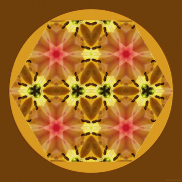 Digital Arts titled "Geometric Garden 9" by Kenneth Grzesik, Original Artwork, Digital Painting