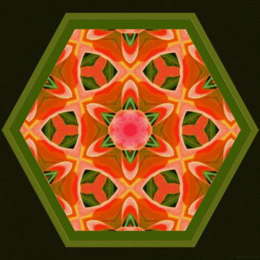 Digital Arts titled "Geometric Garden 17" by Kenneth Grzesik, Original Artwork, Digital Painting