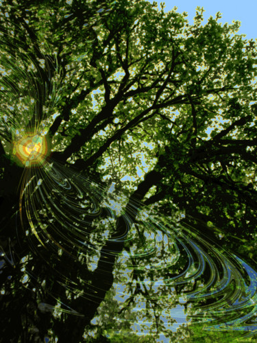 Digital Arts titled "Mystic Forest 10" by Kenneth Grzesik, Original Artwork, Digital Painting