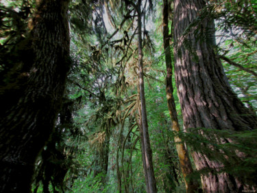 Arts numériques intitulée "Mystic Forest 15" par Kenneth Grzesik, Œuvre d'art originale, Peinture numérique