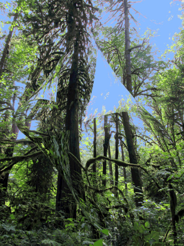 Arts numériques intitulée "Mystic Forest 30" par Kenneth Grzesik, Œuvre d'art originale, Peinture numérique