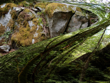 Arts numériques intitulée "Skykomish Summer 4" par Kenneth Grzesik, Œuvre d'art originale, Peinture numérique