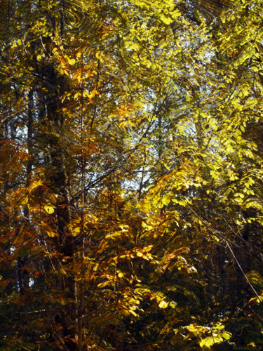 Arts numériques intitulée "October Transitions…" par Kenneth Grzesik, Œuvre d'art originale, Peinture numérique