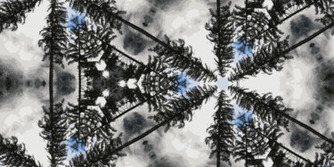 Цифровое искусство под названием "Winter Crystal 9" - Kenneth Grzesik, Подлинное произведение искусства, Цифровая живопись