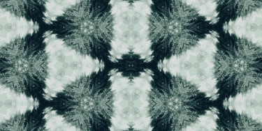 Цифровое искусство под названием "Winter Crystal 12" - Kenneth Grzesik, Подлинное произведение искусства, Цифровая живопись