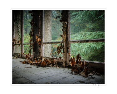 Photography titled "Quand l'herbe nous…" by Sébastien Bance, Original Artwork, Digital Photography
