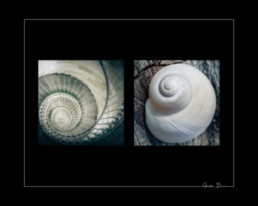 Photography titled "Snail" by Sébastien Bance, Original Artwork, Digital Photography