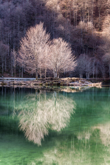 Fotografie mit dem Titel "Lac de Bethmale Ref…" von Sébastien Blanc, Original-Kunstwerk, Digitale Fotografie Auf Aluminium m…