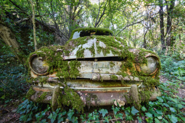 Ancienne Voiture Simca Aronde 1200 abandonnée en France Fotografia zatytułowany „Ancienne Voiture Si…” autorstwa Sébastien Blanc, Oryginalna praca, Fotografia cyfrowa Zamontowany n…