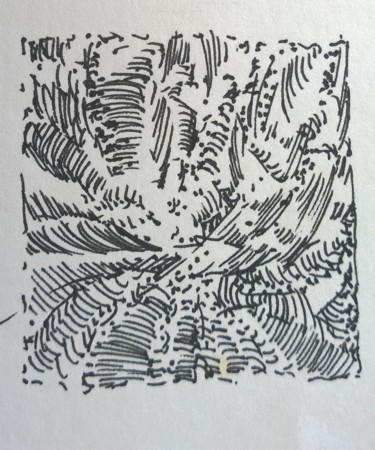 Zeichnungen mit dem Titel "nature" von Sébastien Darroman, Original-Kunstwerk, Tinte