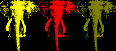 Digitale Kunst mit dem Titel "Éléphant" von Mose, Original-Kunstwerk, Fotomontage