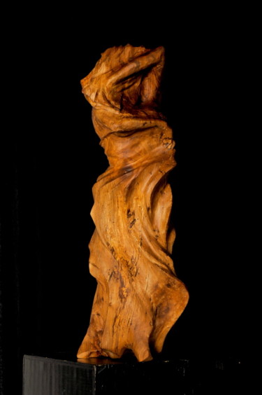 Скульптура под названием "Carmen" - Sébastien Taille Sculpteur, Подлинное произведение искусства, Дерево