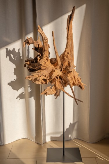 Scultura intitolato "Acacia root sculptu…" da Jozef Sedmak, Opera d'arte originale, Legno