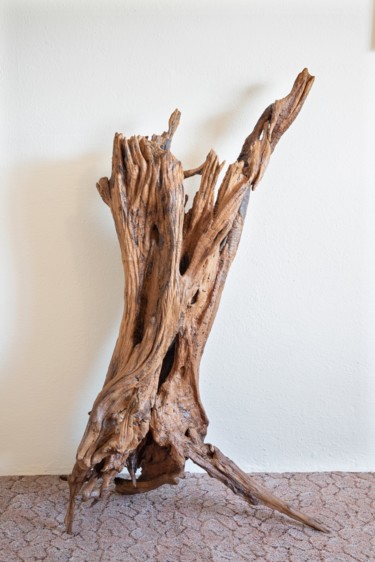 雕塑 标题为“Acacia root sculptu…” 由Jozef Sedmak, 原创艺术品, 木