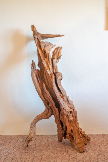 Скульптура под названием "Morus nigra - decor…" - Jozef Sedmak, Подлинное произведение искусства, Дерево
