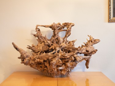 Rzeźba zatytułowany „Acacia root sculptu…” autorstwa Jozef Sedmak, Oryginalna praca, Drewno