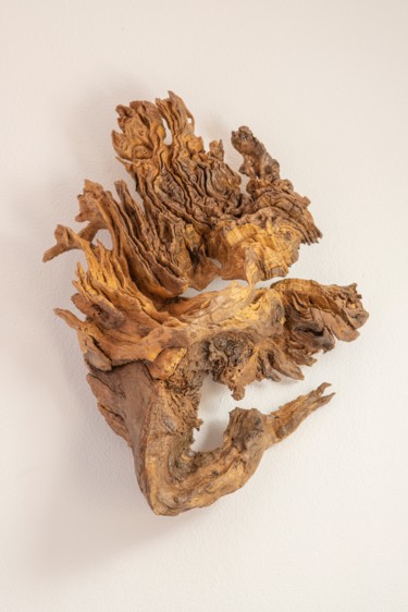 Sculpture intitulée "Oak wall hanging sc…" par Jozef Sedmak, Œuvre d'art originale, Bois