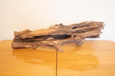Sculpture titled "Hornbeam natural de…" by Jozef Sedmak, Original Artwork, Wood
