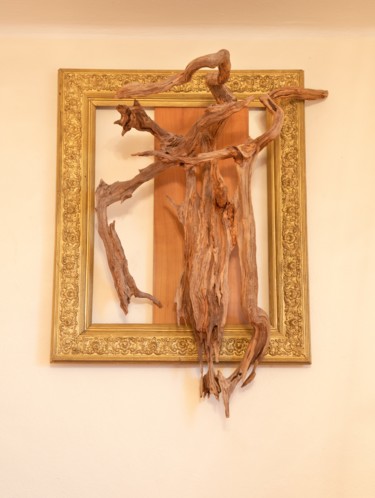Sculpture titled "Pine organic sculpt…" by Jozef Sedmak, Original Artwork, Wood