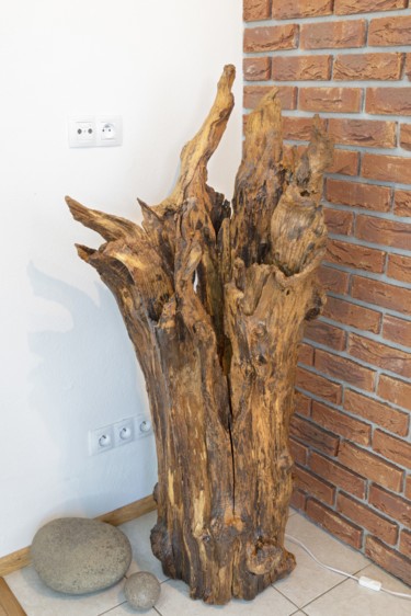 Sculpture intitulée "Acacia decorative s…" par Jozef Sedmak, Œuvre d'art originale, Bois