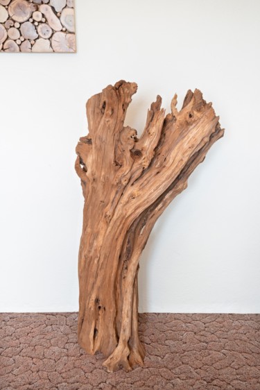 Sculpture intitulée "Morus nigra decorat…" par Jozef Sedmak, Œuvre d'art originale, Bois