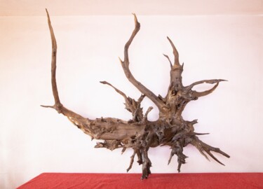 Rzeźba zatytułowany „Acacia hanging deco…” autorstwa Jozef Sedmak, Oryginalna praca, Drewno