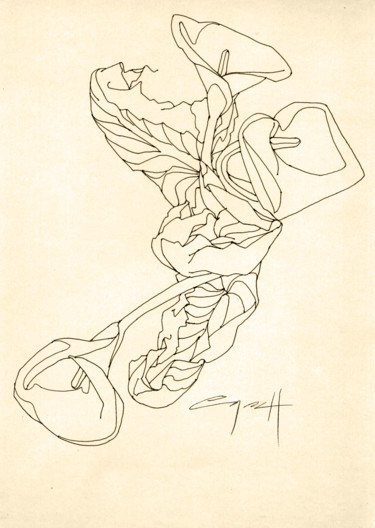 Disegno intitolato "Calla Lily #1" da Nikolai Sednin (Nicolas Sednin), Opera d'arte originale, Inchiostro