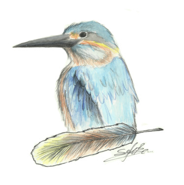 Peinture intitulée "Hummingbird" par Sefabaris713, Œuvre d'art originale, Crayon