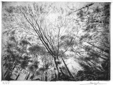 Printmaking titled "Vers le ciel" by Segal-Creismeas, Original Artwork, Etching