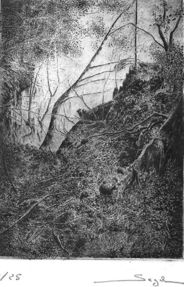 Gravures & estampes intitulée "L'arbre mort" par Segal-Creismeas, Œuvre d'art originale, Eau-forte