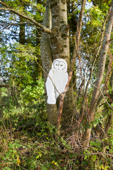 Photographie intitulée "Perched Owl" par Sekhmet, Œuvre d'art originale, Photographie numérique