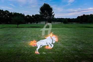 Photographie intitulée "Cheval de feu" par Sekhmet, Œuvre d'art originale, Photographie numérique
