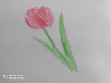 Рисунок под названием "Тюльпан" - Qiwi, Подлинное произведение искусства, Цветные карандаши